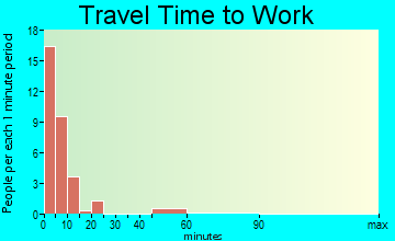 Bison travel time to work - commute