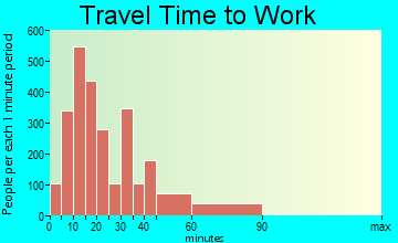 Gallatin travel time to work - commute