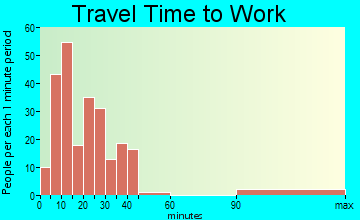Gray travel time to work
