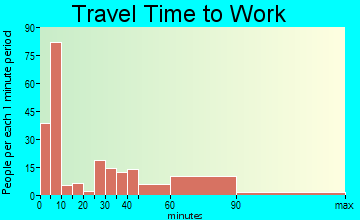 Hohenwald travel time to work - commute