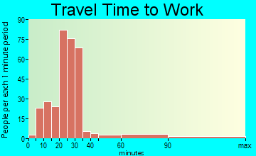 Medina travel time to work - commute