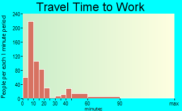 Pulaski travel time to work - commute