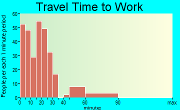 White Pine travel time to work - commute