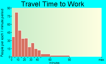 Cameron travel time to work - commute