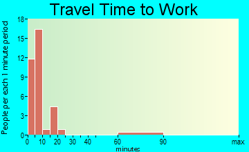 Dell City travel time to work - commute