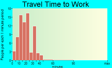 Detroit commuting: travel time to work