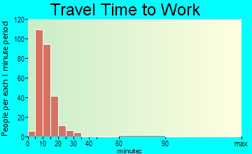 Medina travel time to work - commute