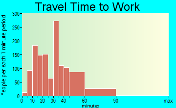 New Territory commuting: travel time to work
