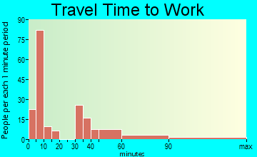 Nixon travel time to work - commute