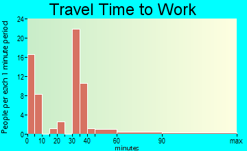 Pettus travel time to work