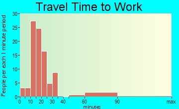 Rice travel time to work - commute