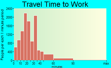 Richardson travel time to work - commute