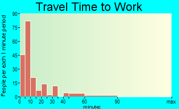 Shamrock travel time to work - commute