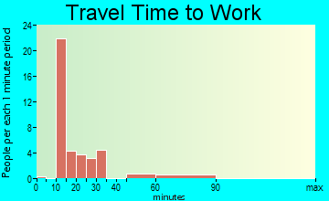 Greenville commuting: travel time to work