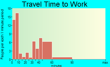 Cameron travel time to work - commute