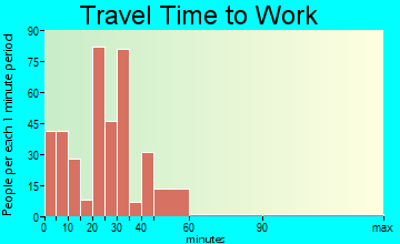 Pulaski travel time to work - commute