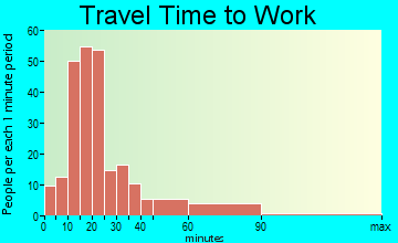 Buena Vista travel time to work - commute