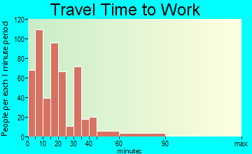 Williams travel time to work - commute