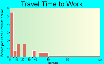 Branson travel time to work