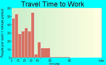 Idaho Springs commuting: travel time to work