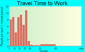 Mifflin travel time to work - commute