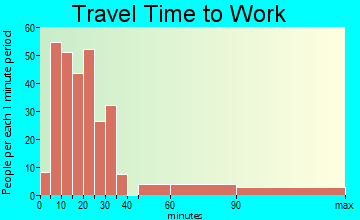 Neversink travel time to work - commute