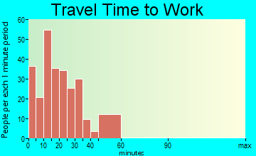 Selbyville travel time to work - commute