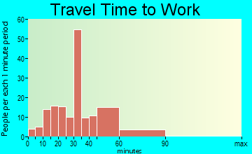 Wadmalaw Island travel time to work - commute