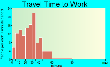Wayne travel time to work - commute