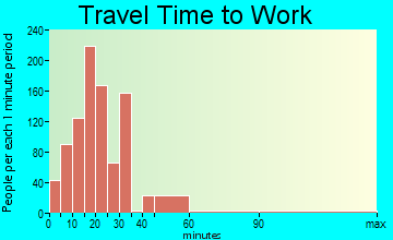 Palmetto travel time to work - commute