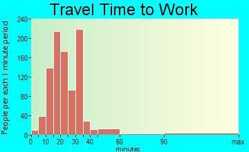 Pine Castle travel time to work - commute