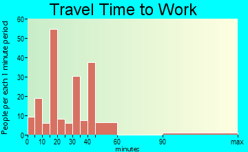 Pine Island Center travel time to work