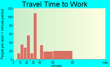 Tice travel time to work - commute