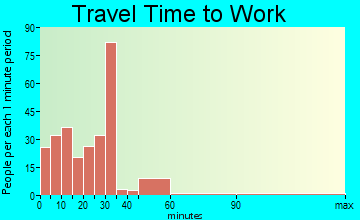 Gray travel time to work