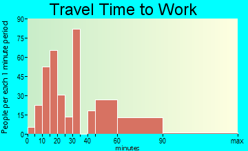 Palmetto travel time to work - commute