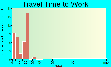 Plains travel time to work