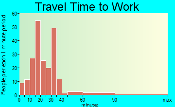Ray City travel time to work - commute