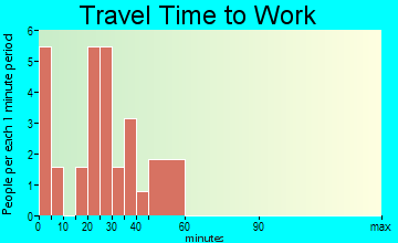 Blue Springs travel time to work - commute