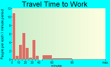 Williamson travel time to work