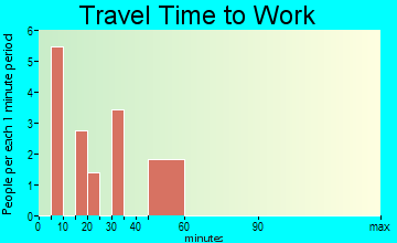 Bingham travel time to work