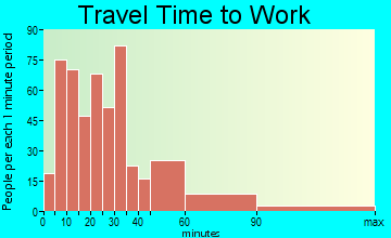 Braidwood travel time to work - commute