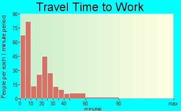 Bushnell travel time to work - commute
