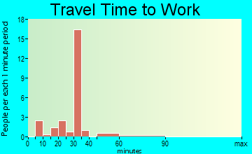 Hopkins Park commuting: travel time to work
