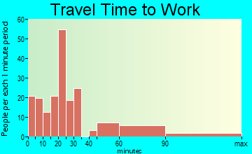 Houston travel time to work - commute