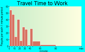 Fowler commuting: travel time to work
