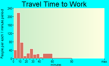 Rochester travel time to work - commute