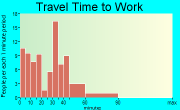 Carson travel time to work - commute