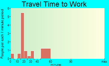 Gray travel time to work