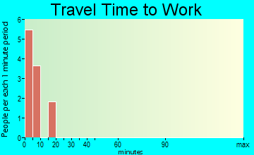 Pilot Point travel time to work