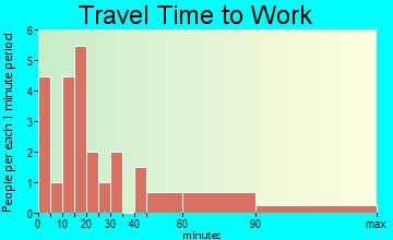 Palmer travel time to work
